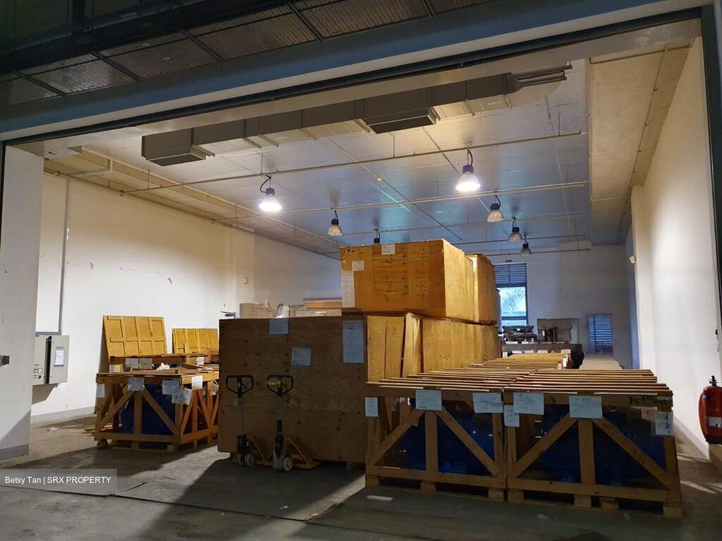 Westlink One (D22), Factory #494423241